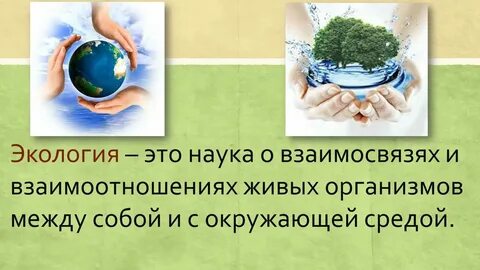 Наука о взаимодействии с природой