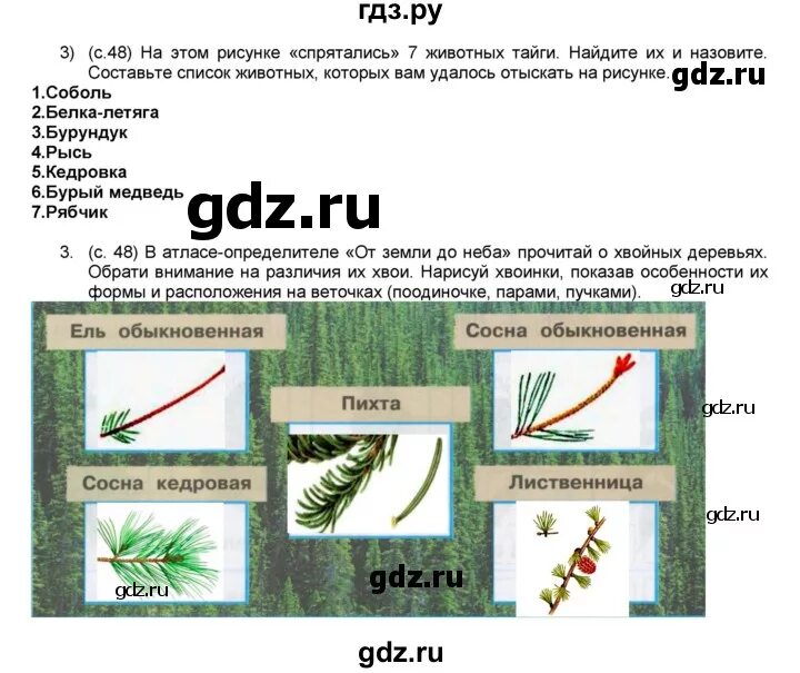Окружающий мир 4 класс страница 48 49. Стр 133-137 окружающий мир 4 класс. Тест 48 окружающий мир