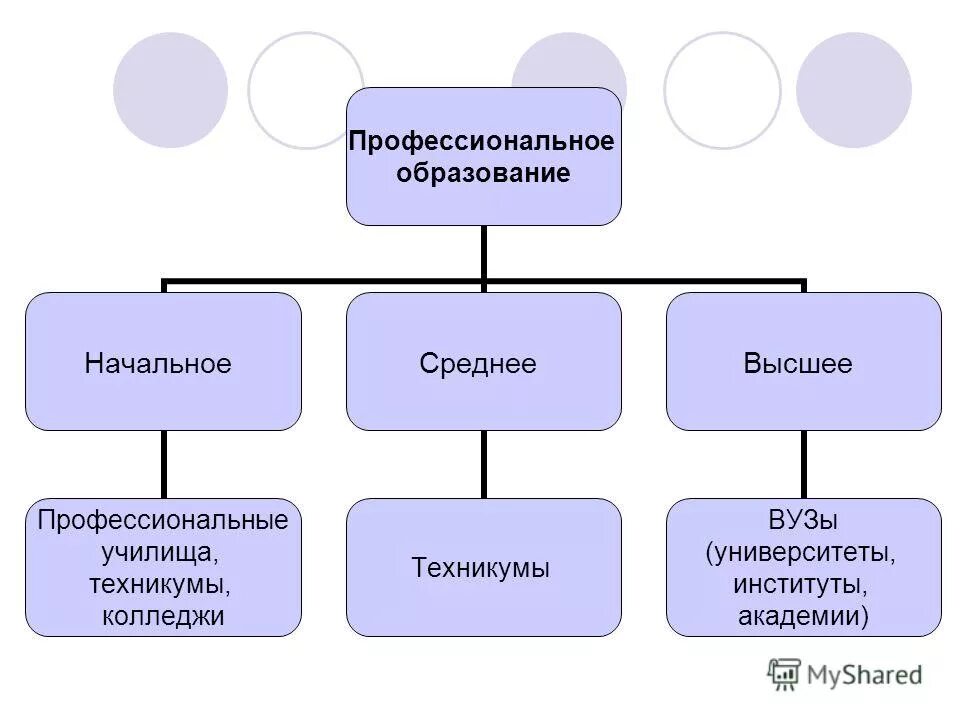 Начальное и среднее профессиональное образование. Что относится к начальному профессиональному образованию.