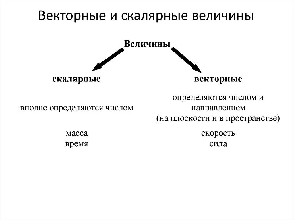 Какой величиной является вектор