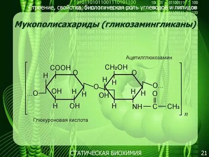 Мукополисахарид