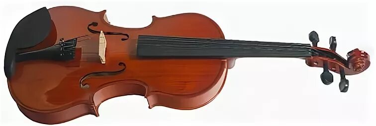 Скрипки 10