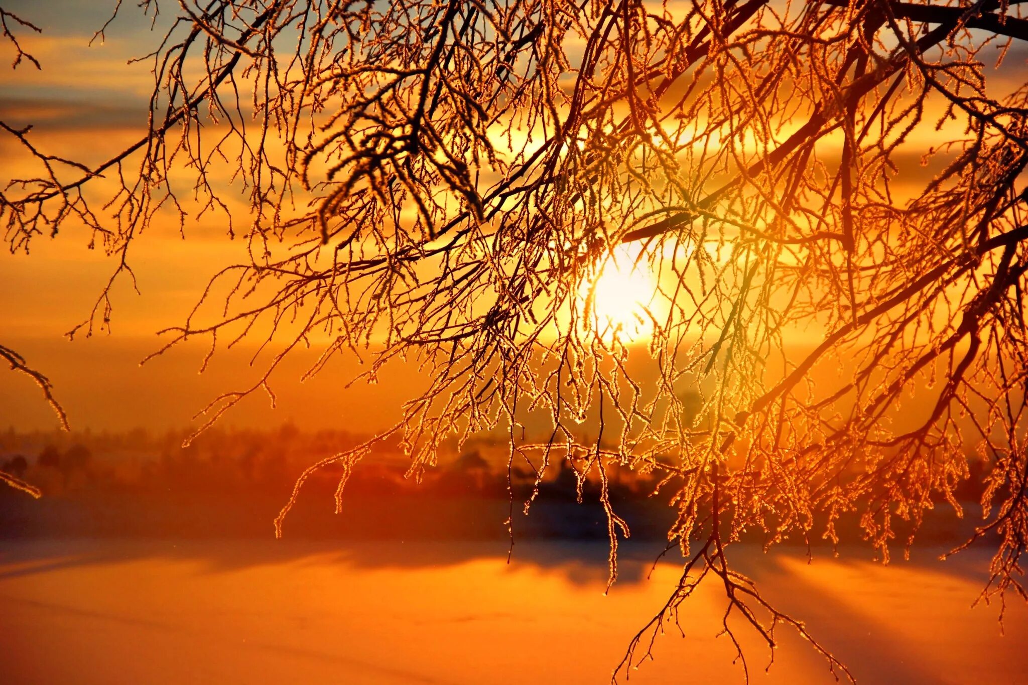В морозные дни солнце восходит в тяжелом. Зимний рассвет. Рассвет зимой. Закат зимой. Зима солнце.
