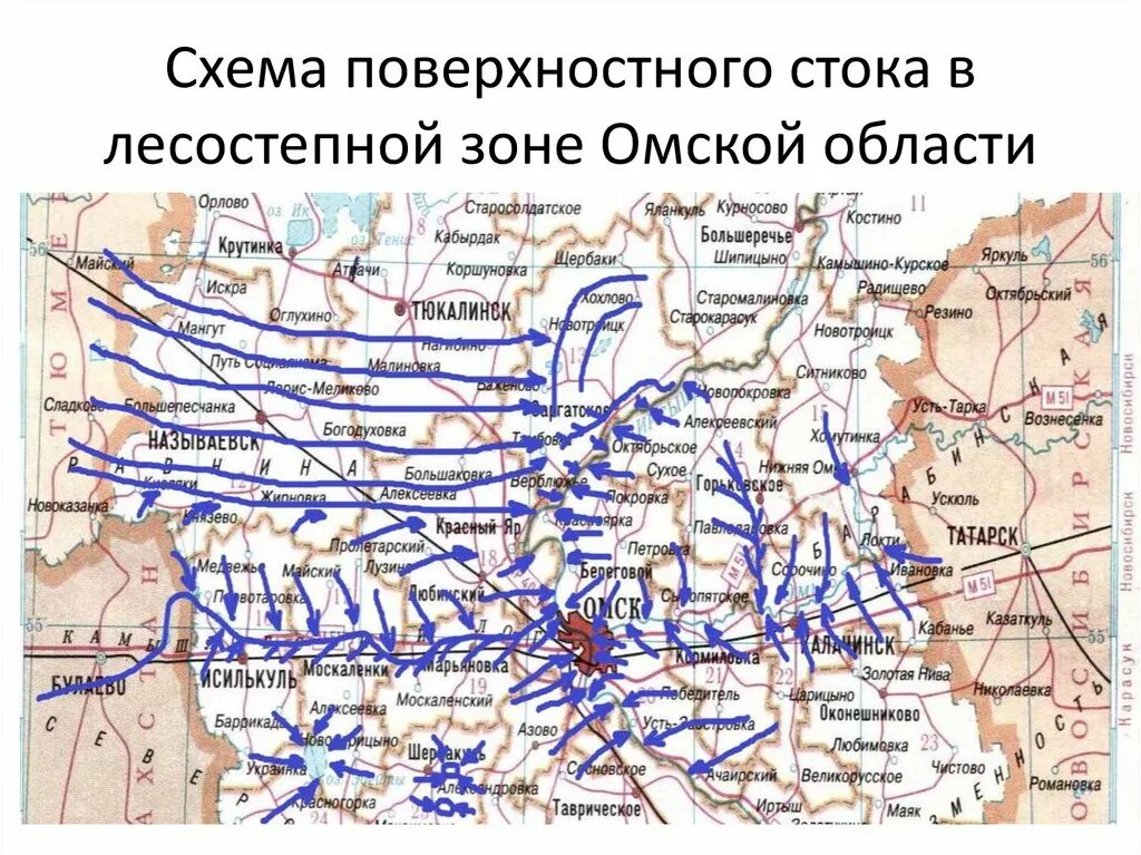 Схема поверхностного стока. Природные зоны Омской области. Поверхностный Сток. "Зона поверхностного стока". Области стока россии