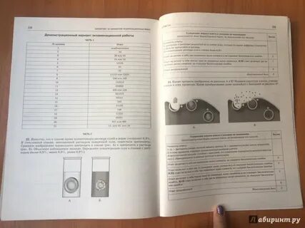 Тренировочные варианты 19
