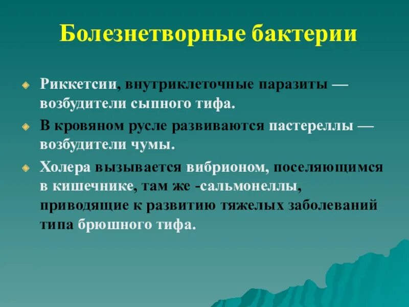 Значение болезнетворных бактерий. Болезнетворные бактерии. Роль болезнетворных бактерий. Болезнетворные бактерии значение. Болезнетворные бактерии роль в природе.