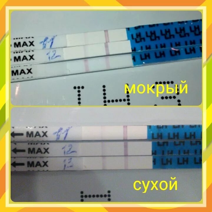 Тест на овуляцию положительный после овуляции форум. Тест на овуляцию положительный. тест на овуляцию я родился. положительный тест на овуляцию я родился. динамика тестов на овуляцию я родился.