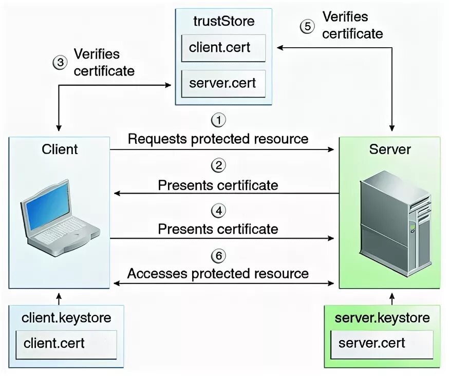No server certificate verification