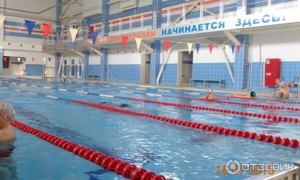 Заринск бассейн олимп директор. Город заринск бассейн олимп. Бассейн олимп заринск. Заринск бассейн олимп директор. Бассейн олимп заринск.