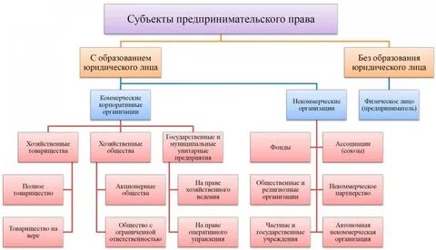 Виды субъектов предпринимательской