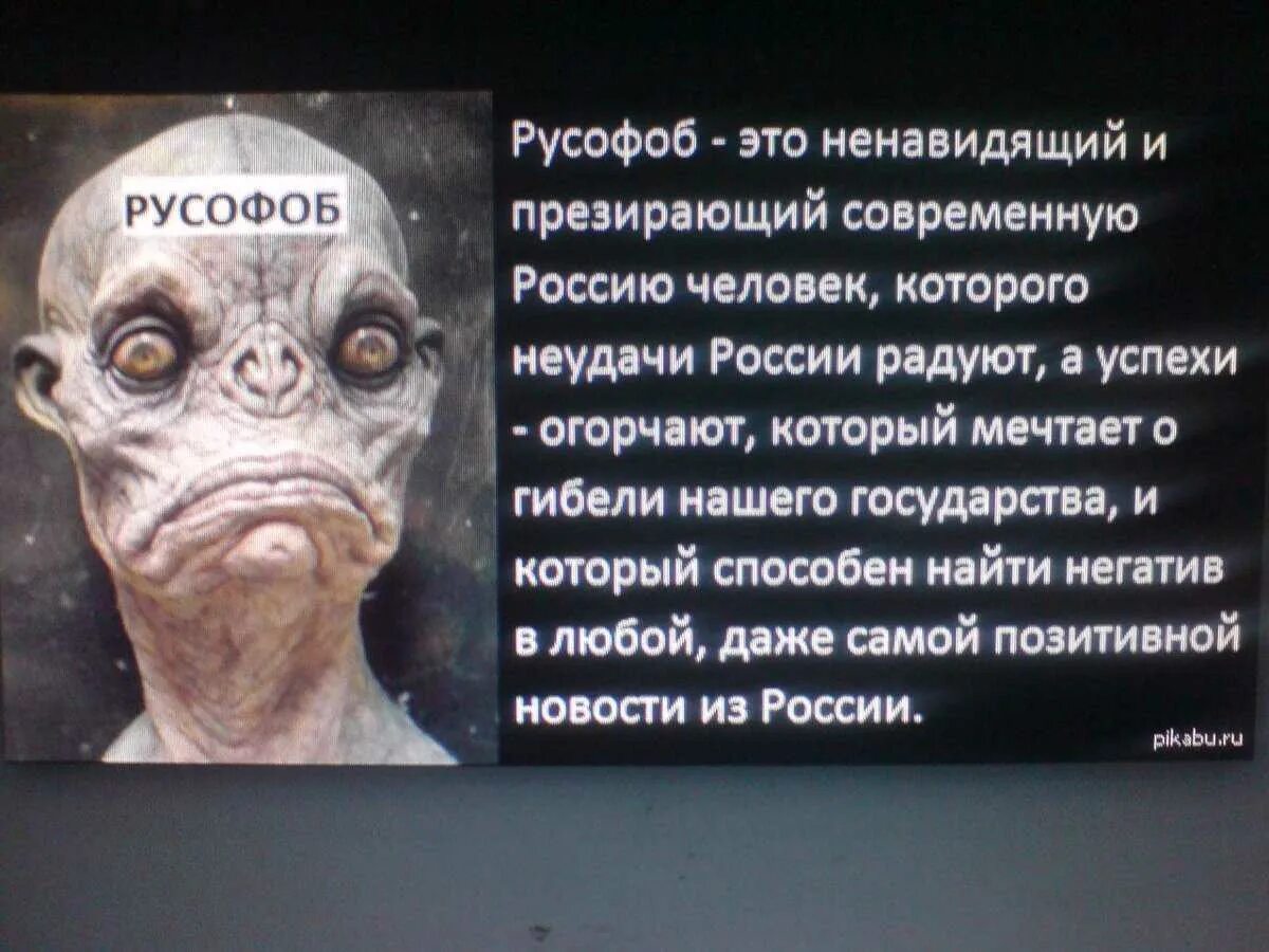 Что такое слово русофобия. Мемы про русофобов. Карикатуры на русофобов. Известные русофобы. Кто такой русофоб.