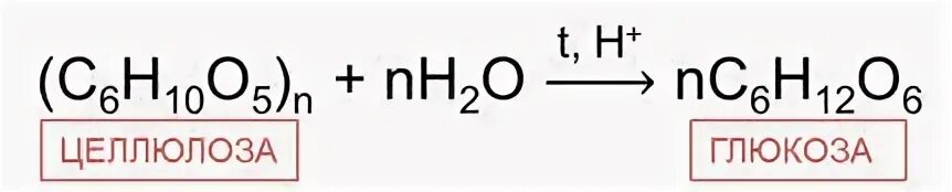 Целлюлоза в глюкозу реакция
