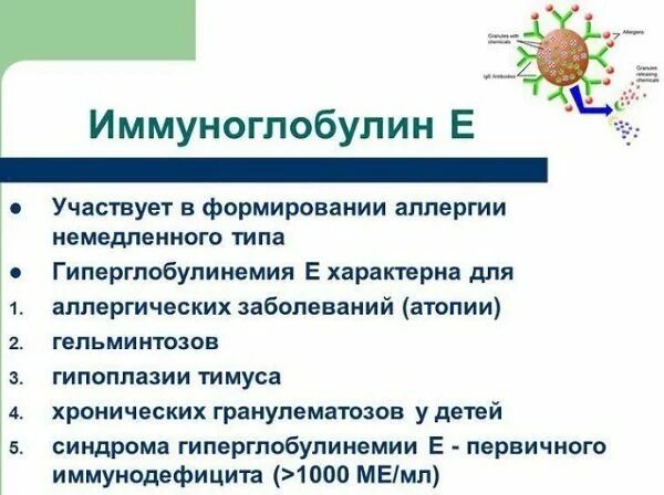 Иммуноглобулин ige повышен что это. Иммуноглобулины класса e. Иммуноглобулин ige повышен что это. Иммуноглобулин g igg что это такое. Гаммаглобулин.