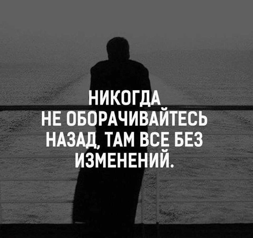 Не оборачивайся назад цитаты. Все проходит мимо меня. Ты обернись там были. Ты обернись там были. Не бросайте животных.