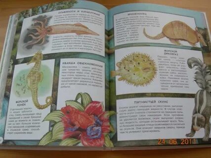 Животные и их мир книга