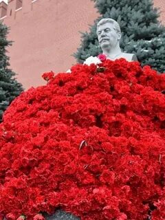 Цветы сталину сегодня