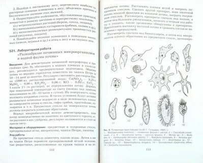 Лабораторная работа по экологии