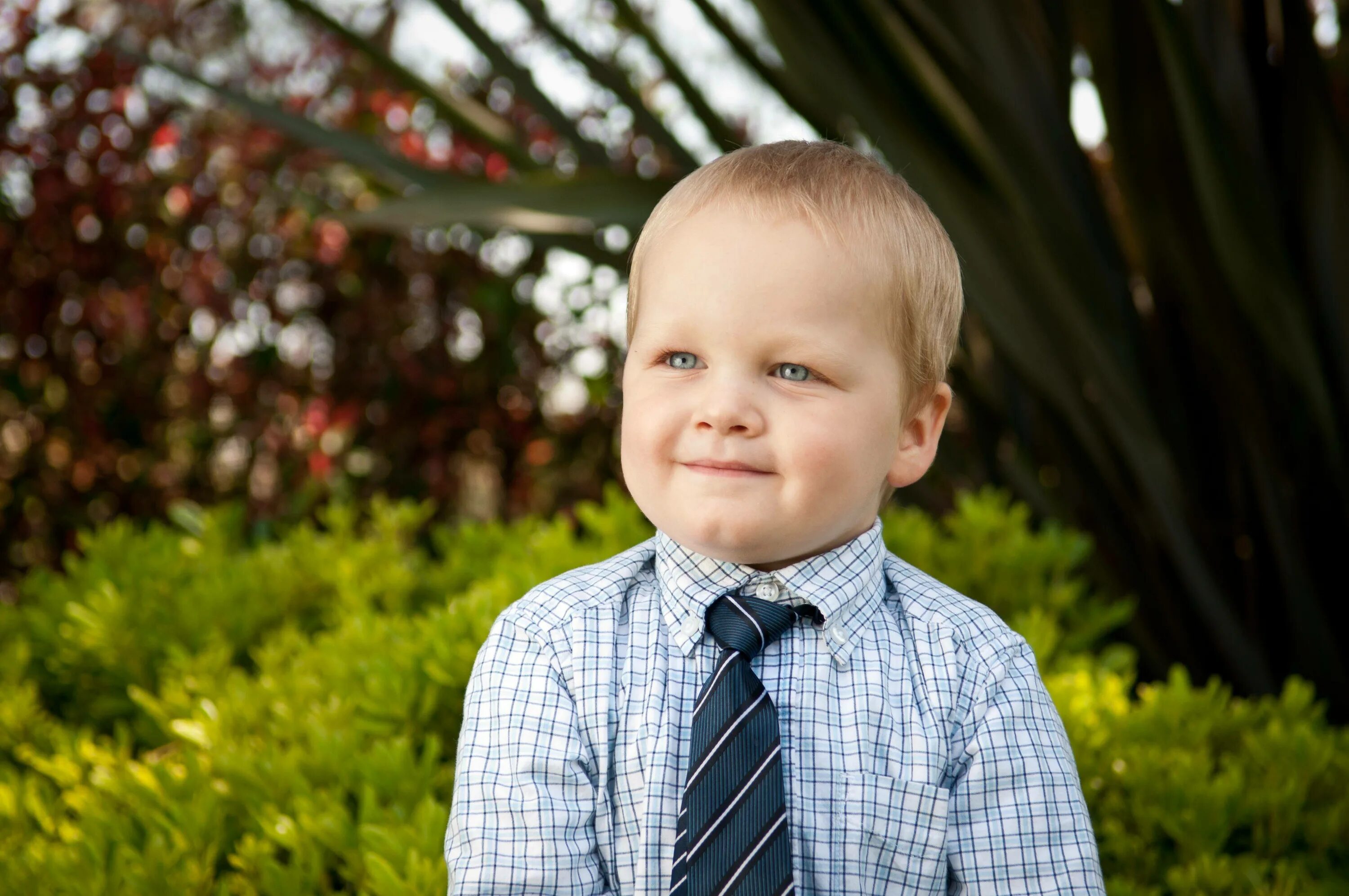 Кьют Бойз. Всех мальчиков. 4 Ребенка. Кьют Бойз ребенок. Little boy child