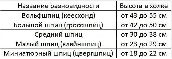 Сколько весит взрослая немецкая. Вес щенка померанского шпица по месяцам таблица. Нормальный вес немецкого шпица в 5 лет. Таблица веса и роста померанского шпица по месяцам. Вес немецкого шпица по месяцам таблица.