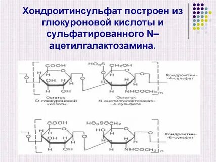 Хондроитин сульфат биологическая роль
