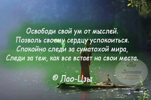 Найти своих и успокоиться откуда фраза. Успокаивающие афоризмы. успокаивающие стишки. природа успокаивает цитаты. освободи свой ум от мыслей позволь сердцу успокоиться.