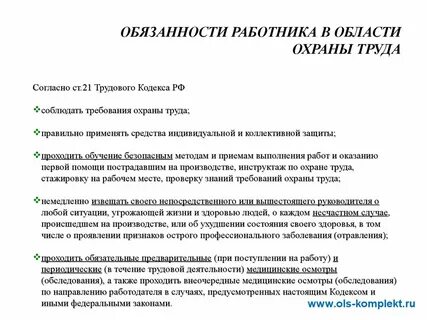 Обязанности по охране труда в должностной инструкции