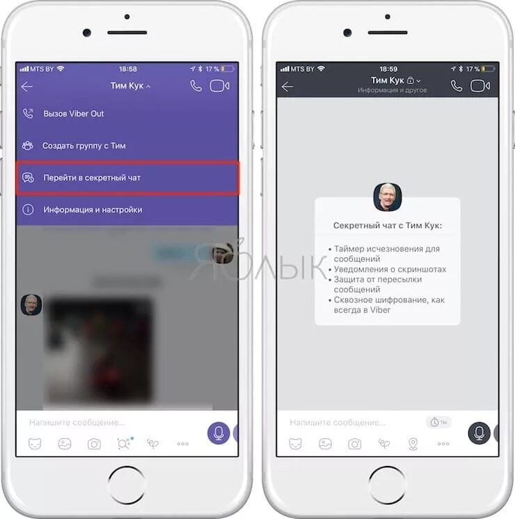 Как удалить секретный чат на айфоне. Секретный чат вайбер на айфоне. Секретная переписка в вайбере. Вайбер переписка секретный чат. Вайбер уведомления о скриншотах что это.