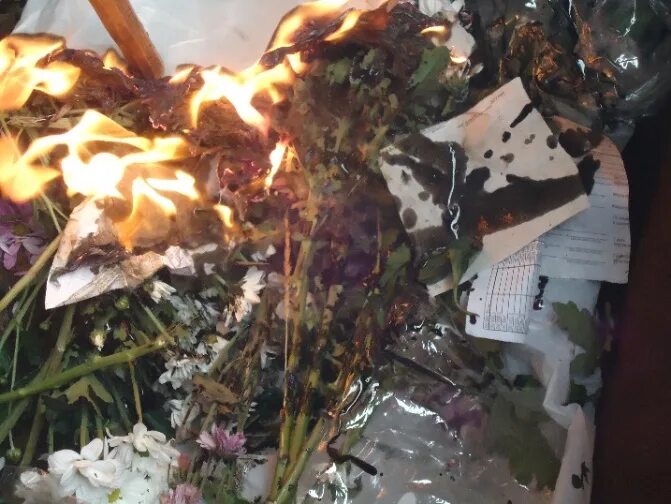 "сожженные цветы".