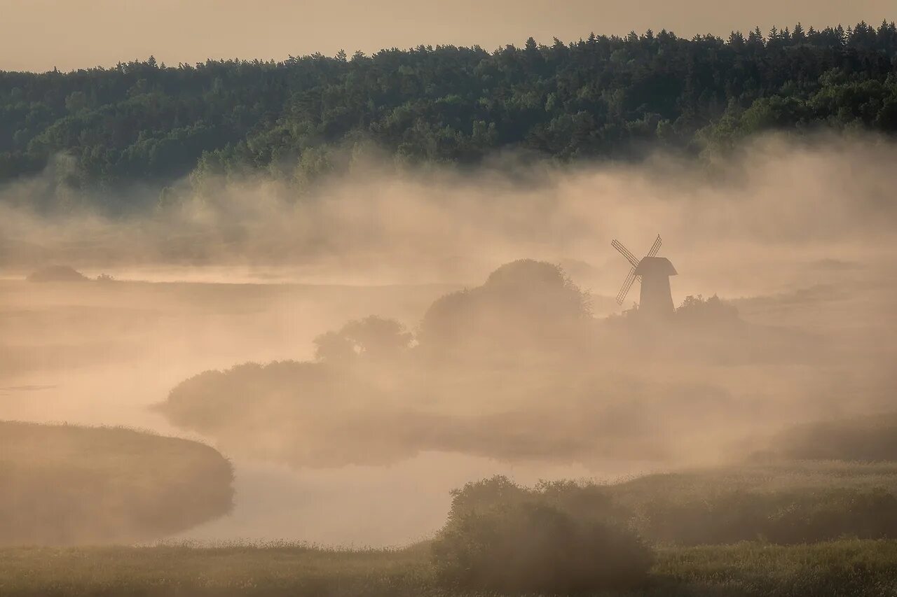 Туманное определение. Туманное утро. Туман картинка для детей. Описание тумана. Презентация явления природы туман.