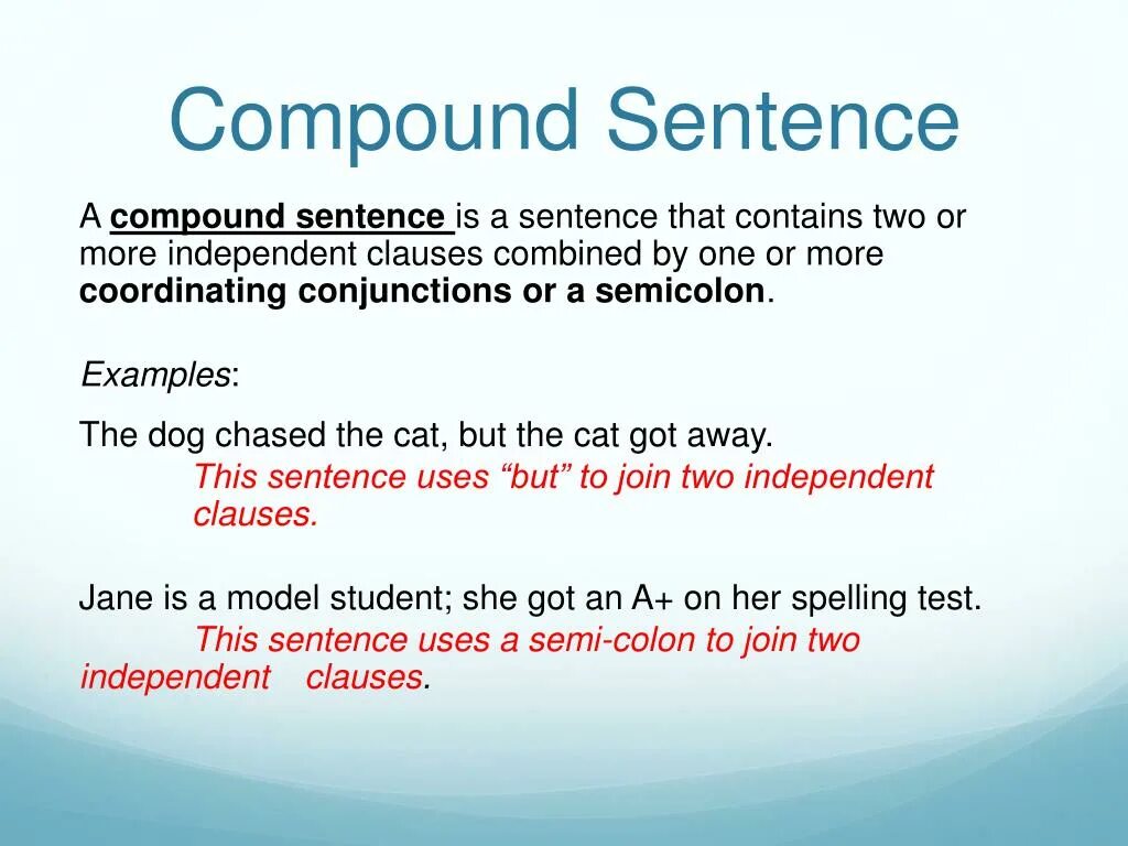 Define the type of the sentences