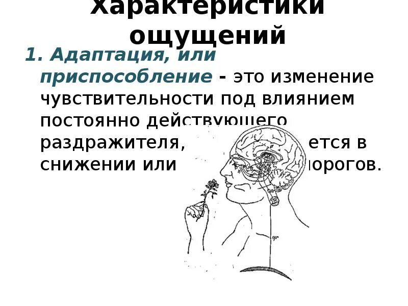 Адаптация ощущений. Адаптация ощущений в психологии. виды адаптации ощущений в психологии. адаптация как свойство ощущений.