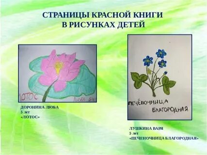 Нарисовать растения и животные из красной книги