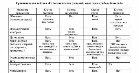 Сравнительная характеристика клетки таблица ответы