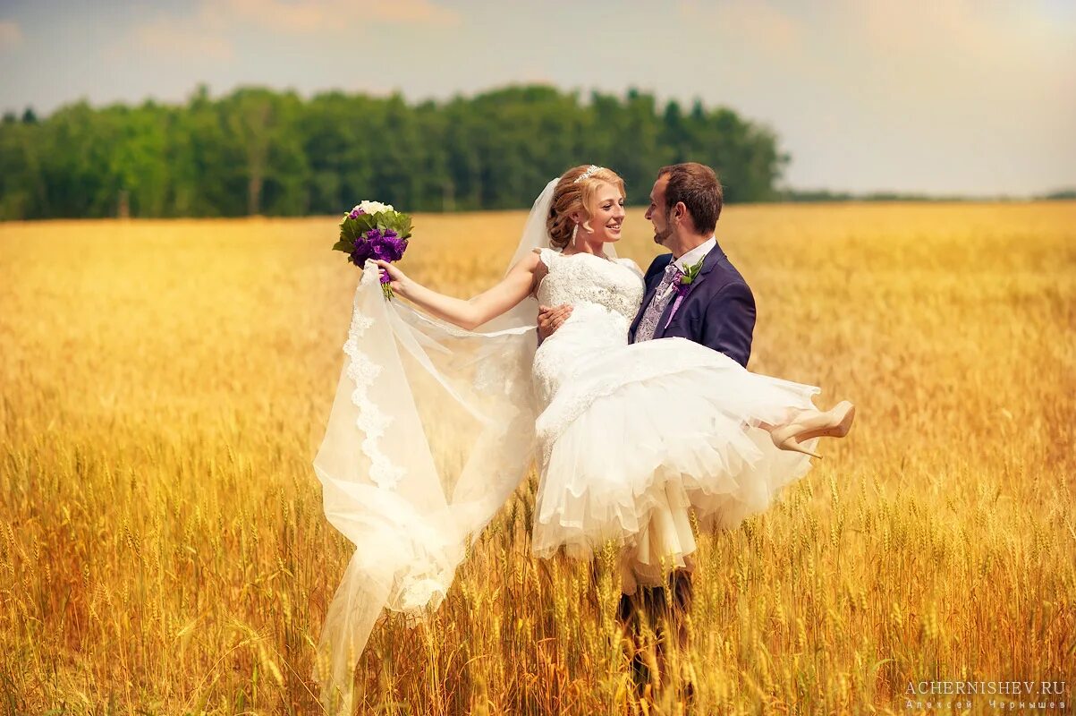 Свадебная фотосессия. Жених и невеста в поле. Красивые Свадебные фотосессии. Свадебные фотосессии летом. Брачное поле