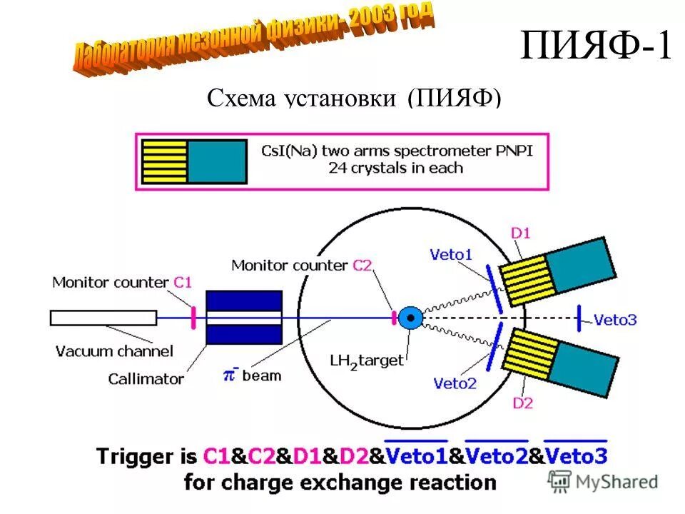 Установка spin. ПИЯФ схема. Мезонная шуба физика. Петербургский институт ядерной физики схема. ПИЯФ на карте.