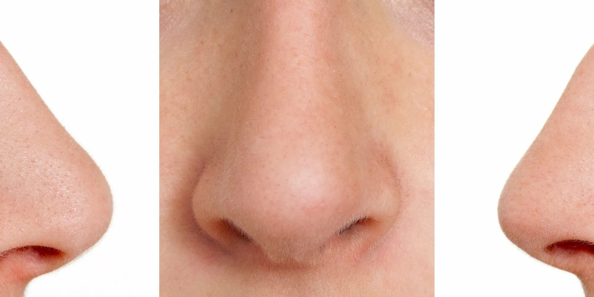Нос. Человеческий нос. Нос картинка. Покажи картинки носа