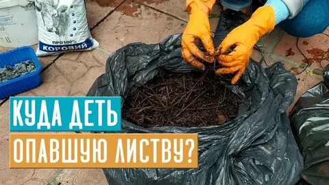 Садовый гид подкормки