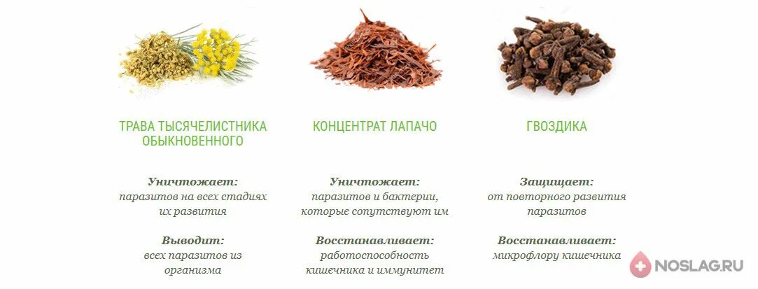 Гвоздика от паразитов отзывы. Травы от паразитов в организме. гвоздика от паразитов. гвоздика от глистов. лекарство от паразитов в организме человека и папиллом.
