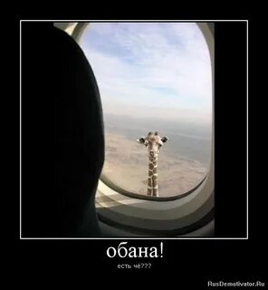Даже не договорила