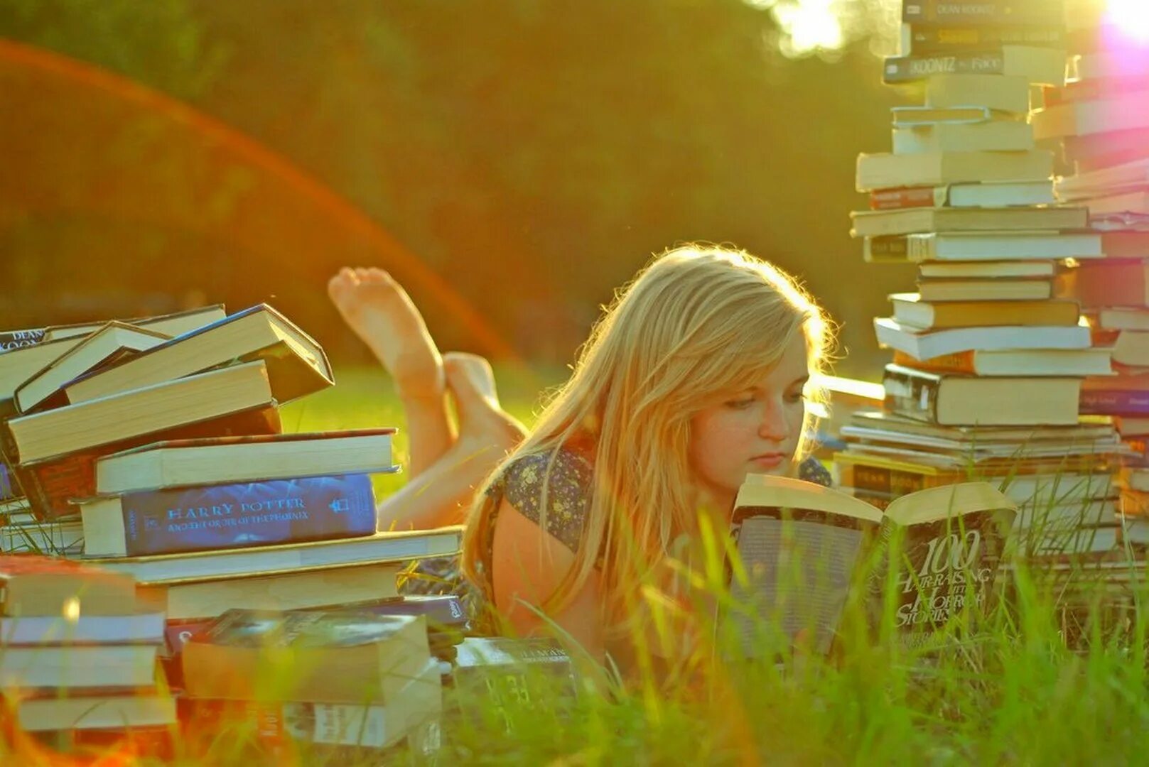 Читать книгу т