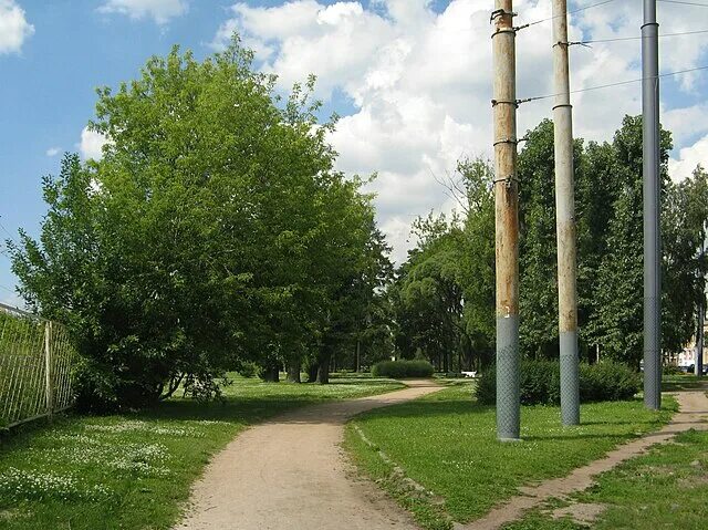 В Выборгском районе в 2025 году будет благоустроен Литовский сад Телеканал Санкт