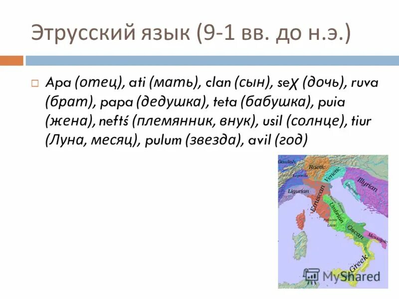 Суть языка. Виды этрусского языка.