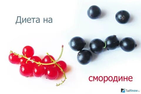 Смородина 4