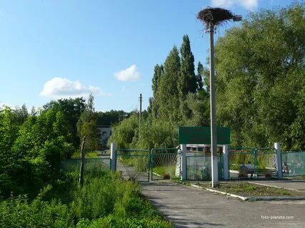 Погода в снагости
