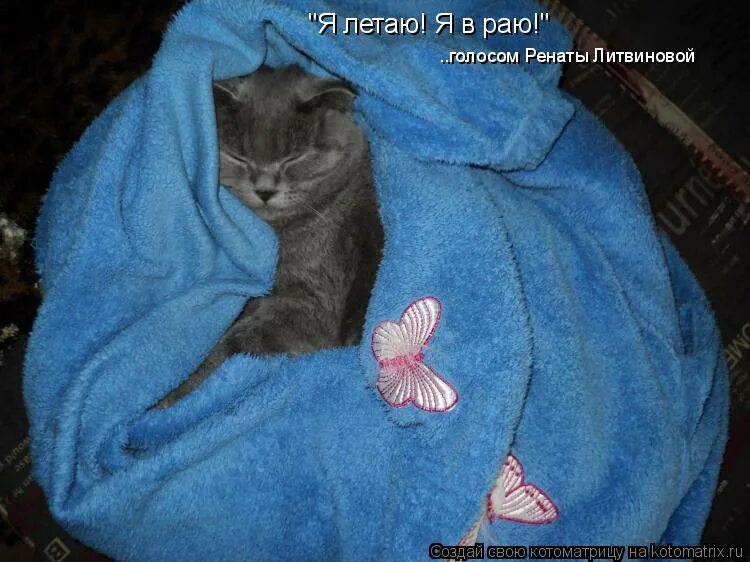 голоса в раю