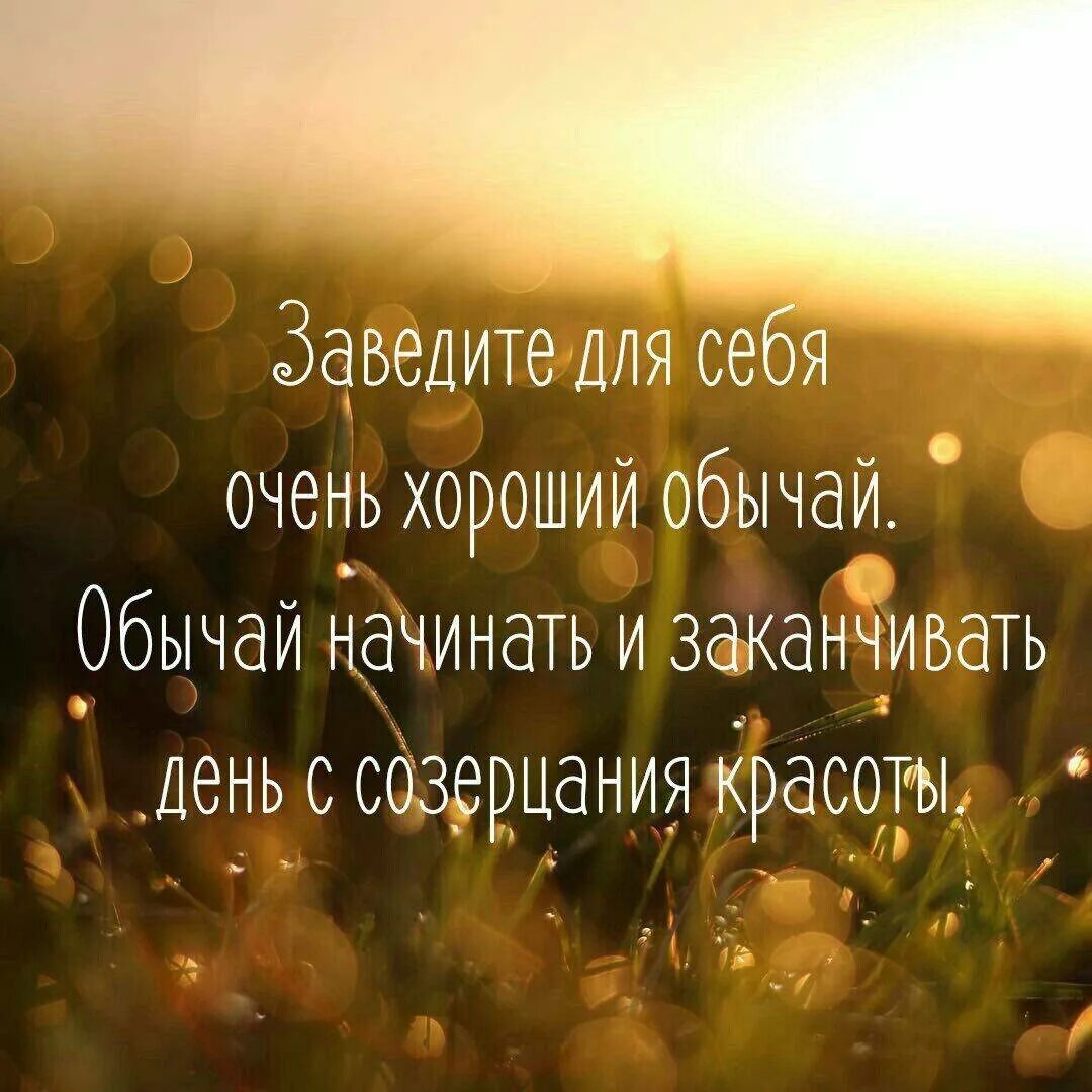 Статус про счастье и любовь. Цитаты про счастье. высказывания о счастье. красивые высказывания о счастье. афоризмы про счастье.