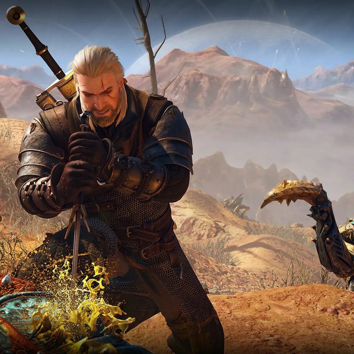 дикий 5 дата.