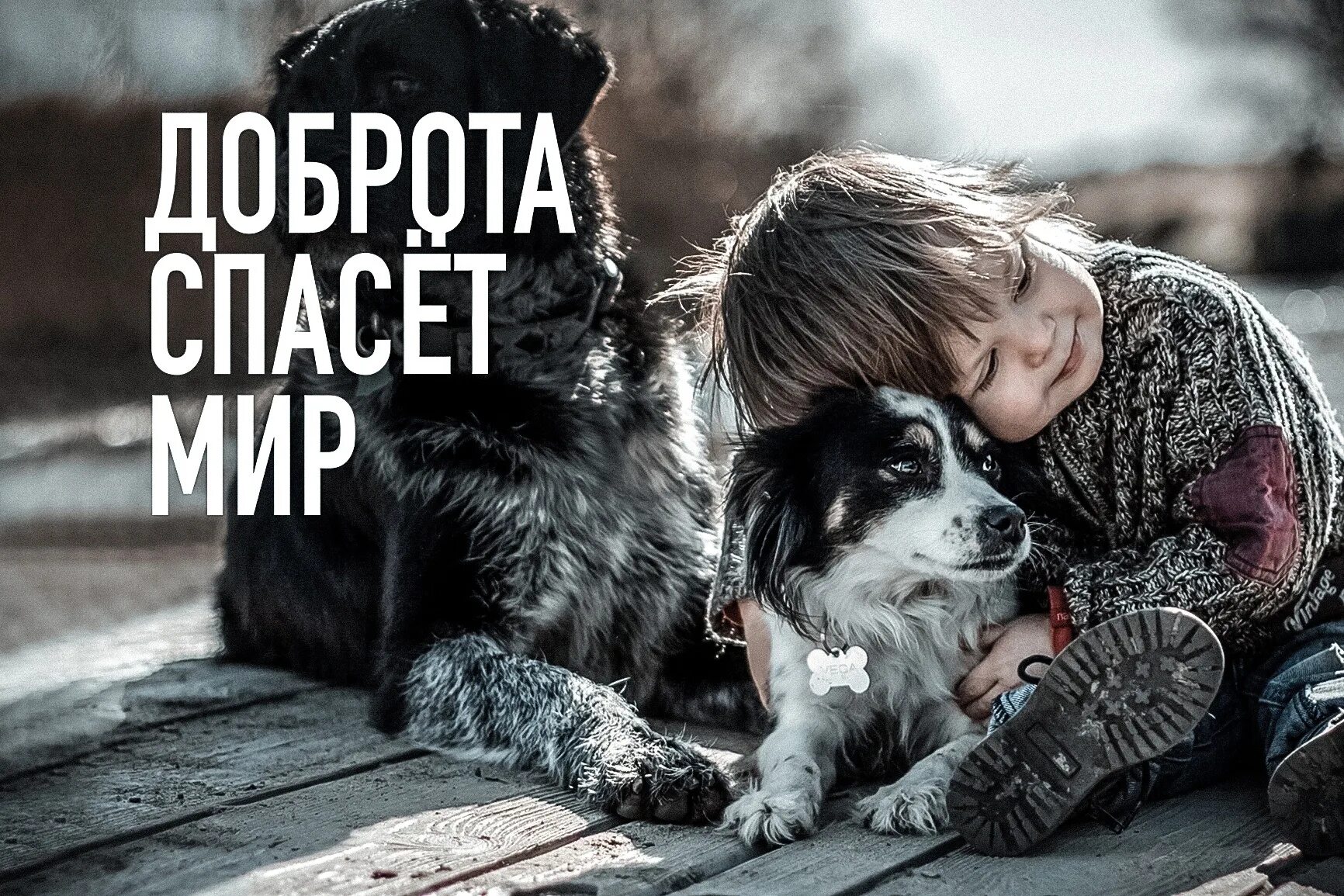 Цитаты о благотворительности и добрых делах