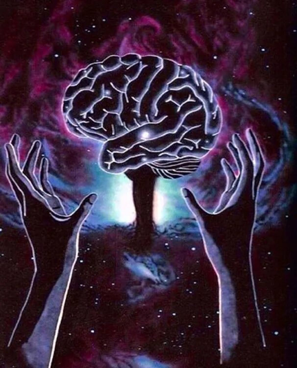 Knowing and understanding
