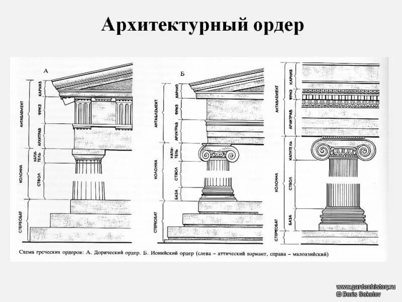 Дорический ордер в архитектуре древней Греции. Ионический ордер древней Греции схема. Дорический ордер древнего Рима. Ионический ордер в архитектуре древней Греции.